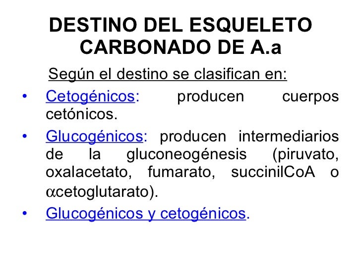 aminoacidos glucogenicos